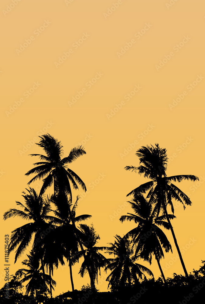 A group of high Quality silhouettes of tropical beach palms Coco