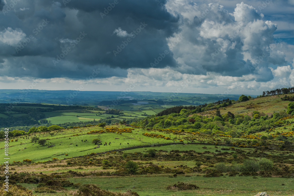 Vista on english countryside
