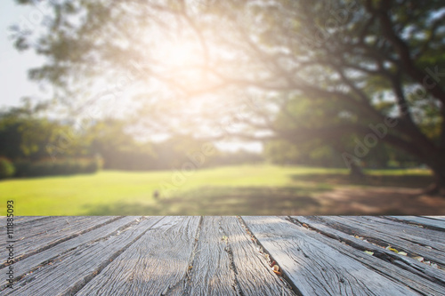 The landscap background retouch vintage style in park