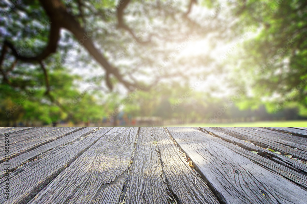 Fototapeta premium The landscap background retouch vintage style in park