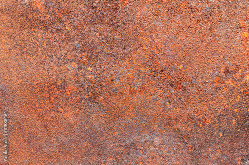 Wallpaper Mural Rusty dirty iron metal plate background. Old rusty metal. Torontodigital.ca