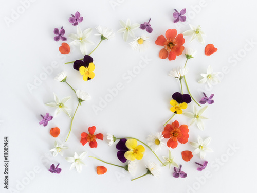 Frame of colourful flowers background. Flat lay, top view