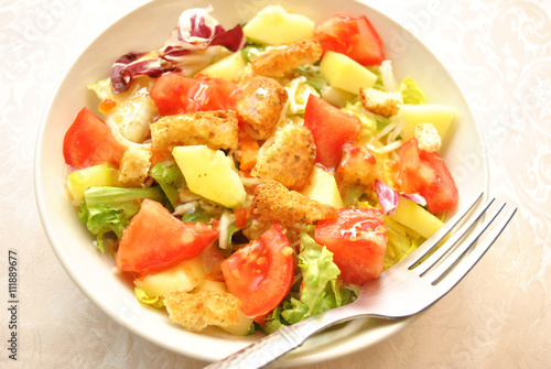 Cold Appetizing Vegetable Salad with Vinegarate Dressing