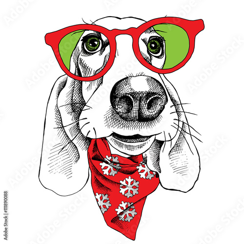 The christmas poster dog Basset Hound portrait in the neckerchief and glasses. Vector illustration.