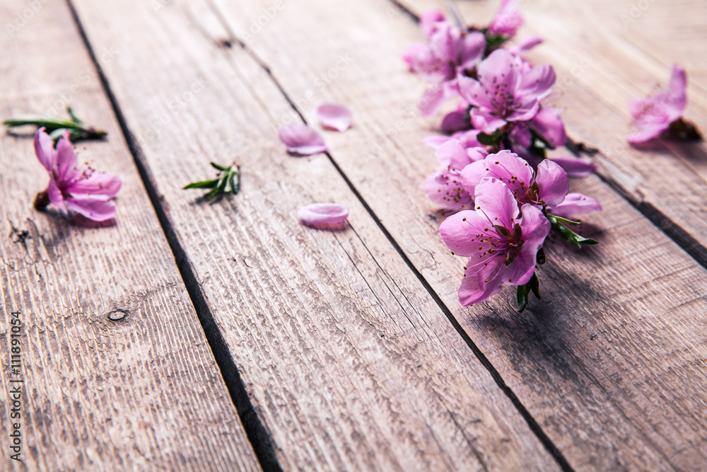 Peach blossom on old wooden background. Fruit flowers. Peach blossom on old wooden background. Fruit flowers.