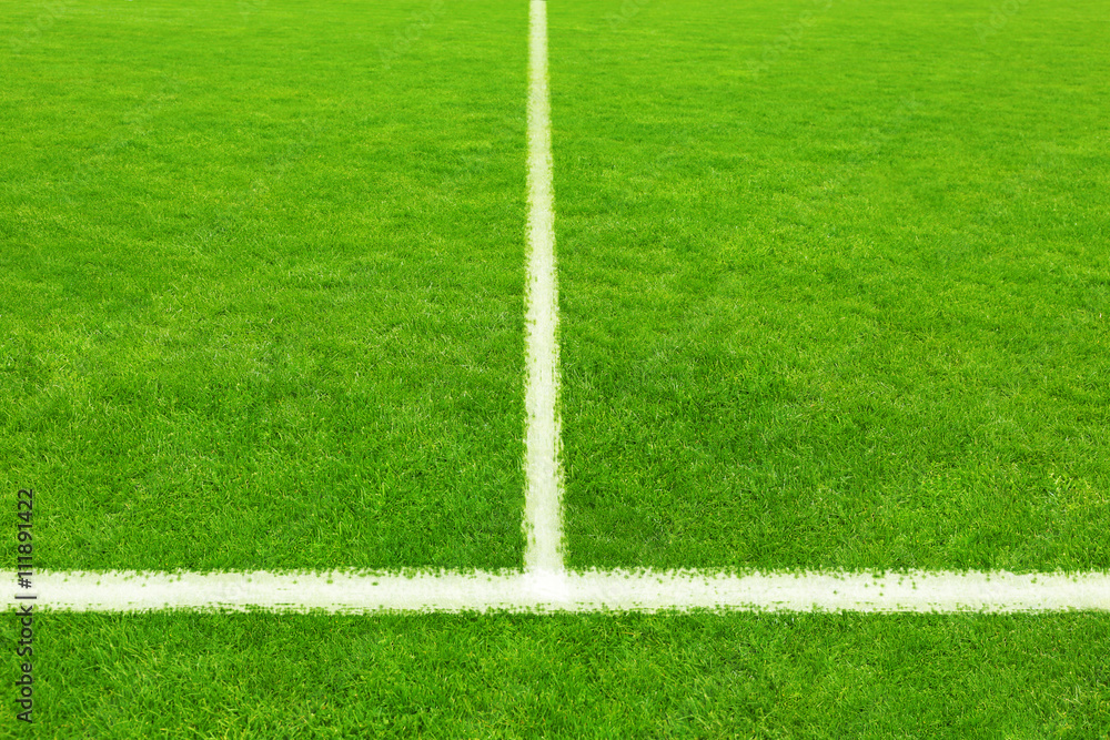 Fototapeta premium Tło boisko do piłki nożnej