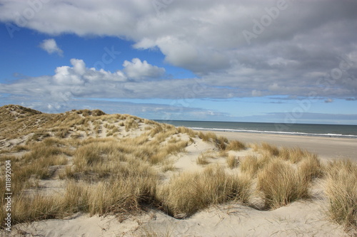Dunes by the beach 