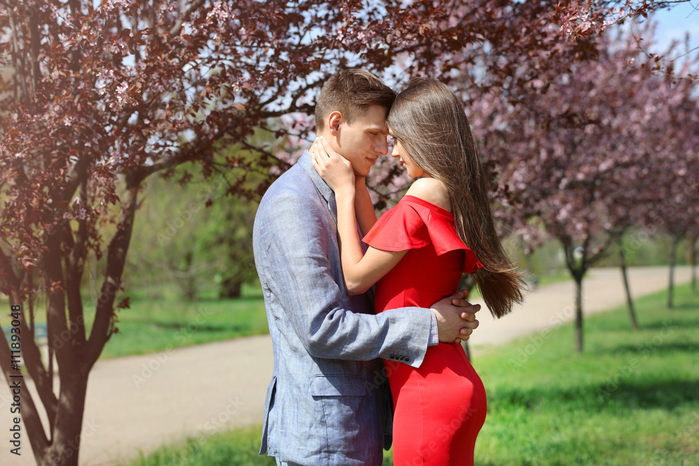 Fototapeta premium Young loving couple hugging in spring park