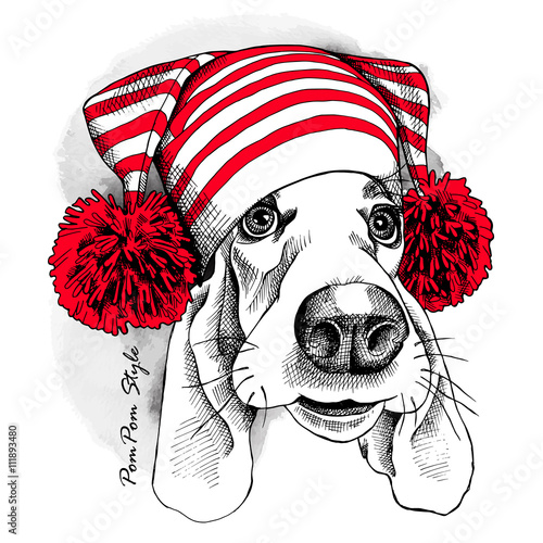 Basset Hound dog in a Hat with pom-pom. Vector illustration.