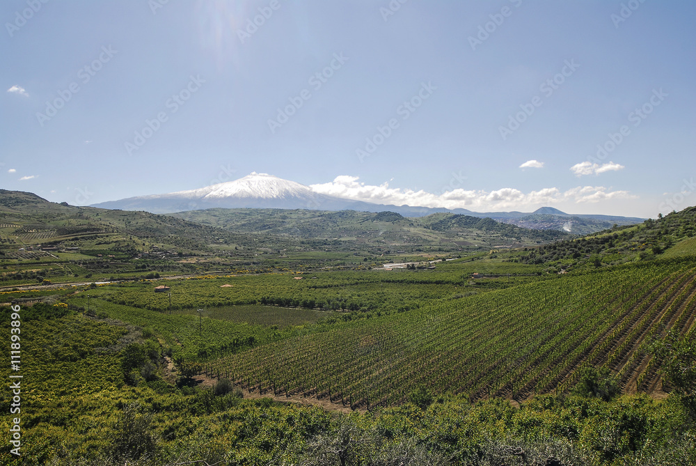 Panorama vallta con vulcano Etna, valle verde