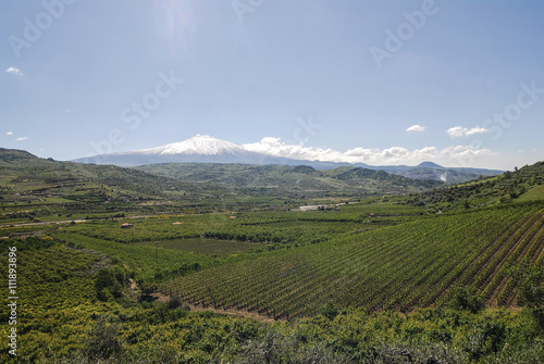 Panorama vallta con vulcano Etna, valle verde