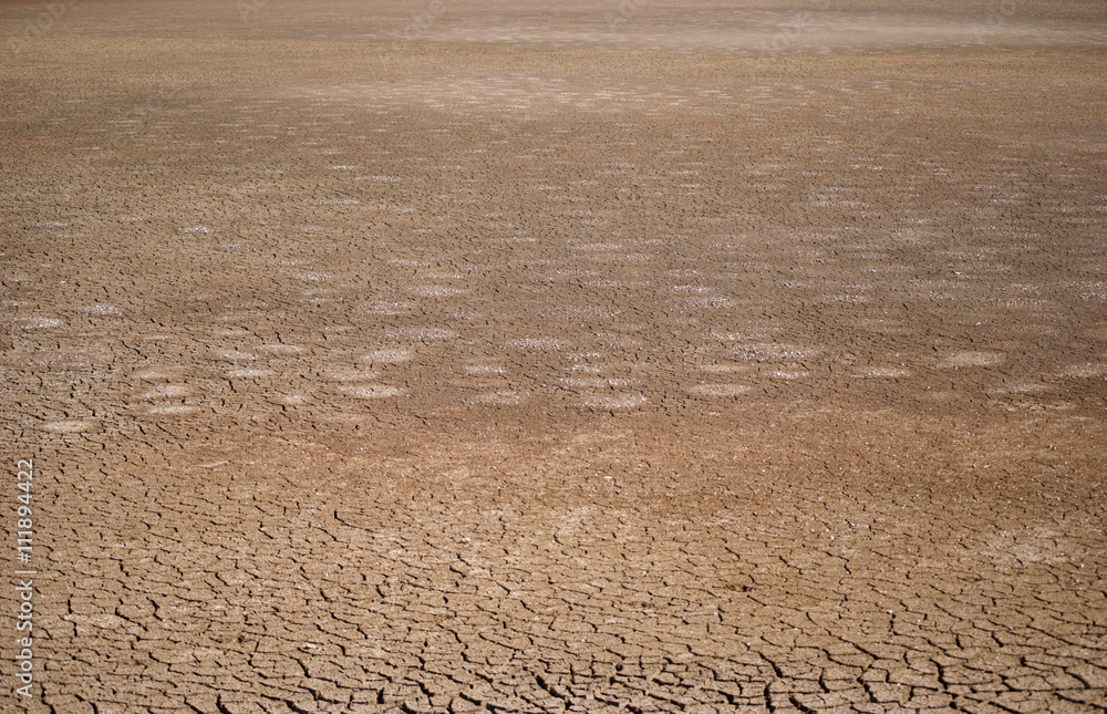 Naklejka premium terra seca