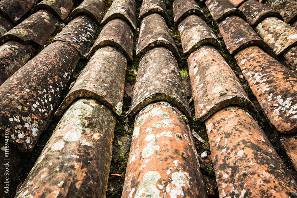 Old red roof tiles. Old red roof tiles.