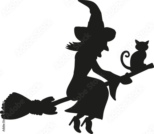 Cat and witch sitting on a flying broom