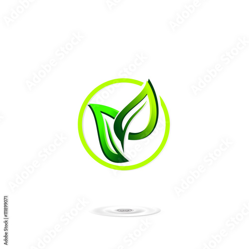 logo leaf green logo