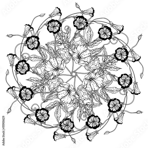 still life coloring book antistress style