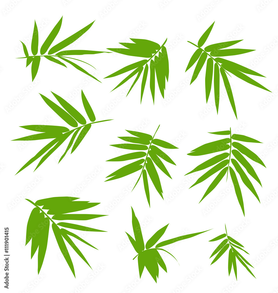 bamboo leaf set
