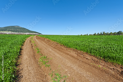 Slika na platnu Mount Tabor in Israel