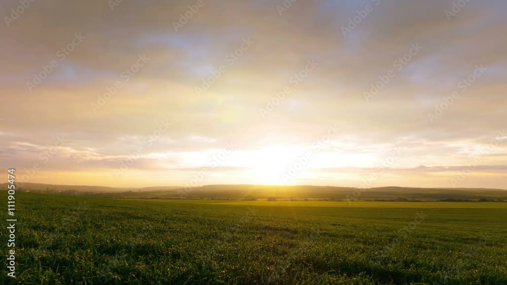 4K .Green spring grass and clouds. Time lapse without birds. 4K .Green spring grass and clouds. Time lapse without birds.