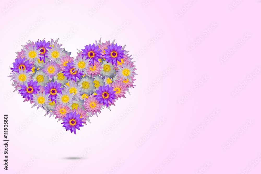 Pink purple heart shaped lotus flowers on pale pink background Pink purple heart shaped lotus flowers on pale pink background