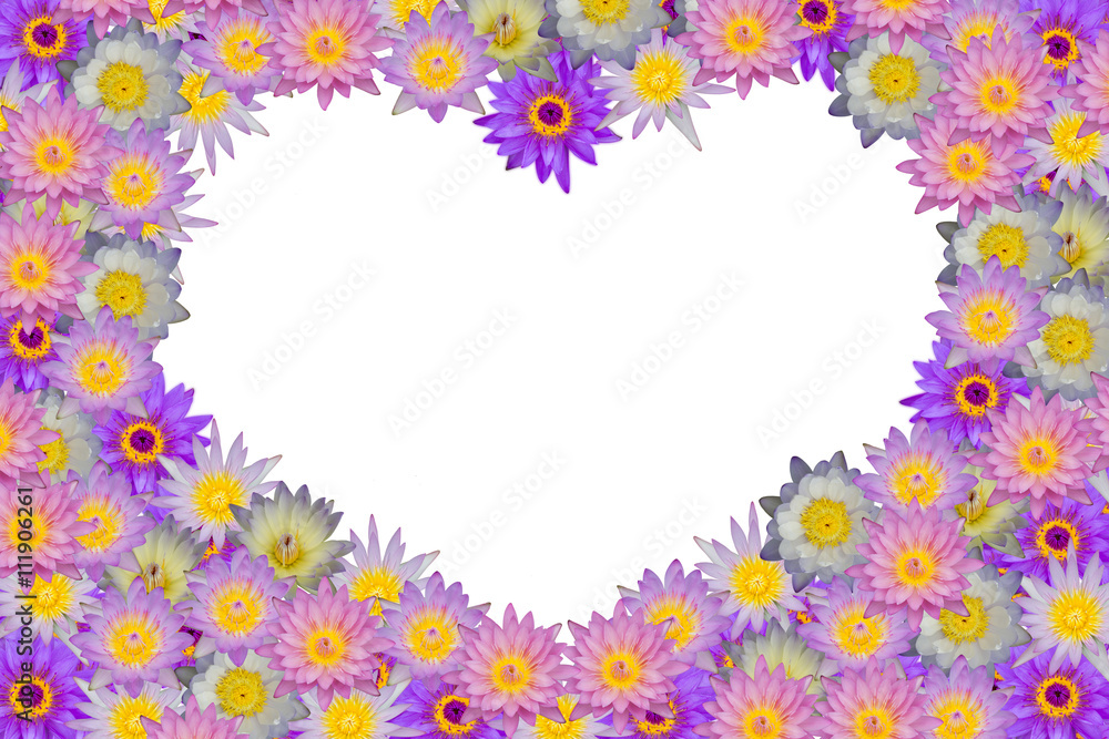 Pink purple heart shaped lotus flowers on white background