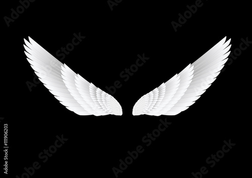 the vector white wings on black background