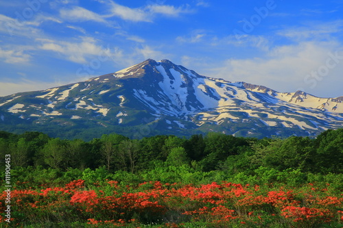 鳥海山 桑の木台湿原