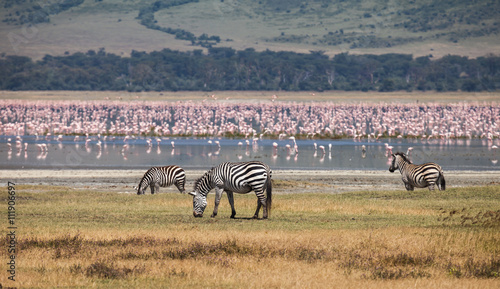 Ngorongoro Conservation Area