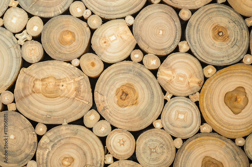 Closeup of round wood stump cut group  Background
