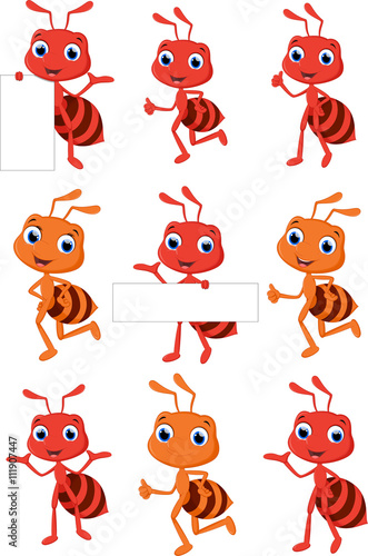 collection cute ant cartoon