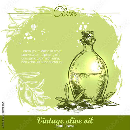 Vintage olive oil bottle with olive branch. Hand drawn. Watercolor green grunge background
