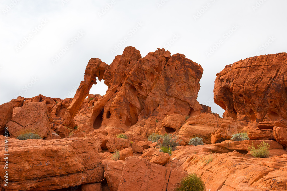 Elephant Rock in Valley of Fire State Park, USA.