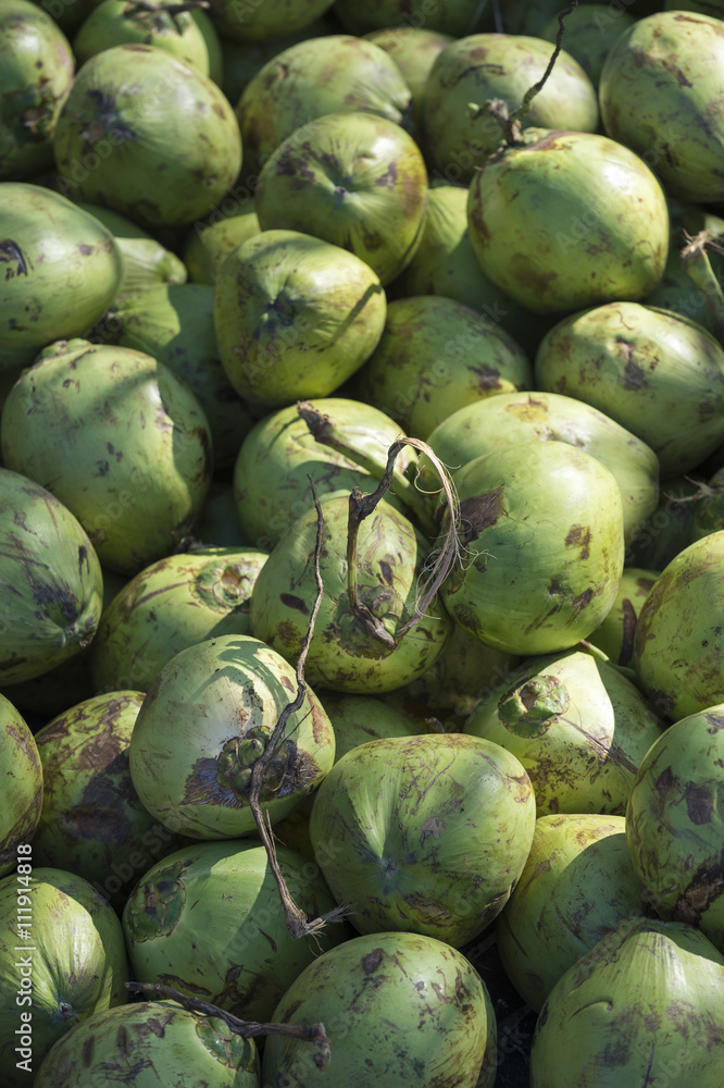 Pile of fresh green coconuts sit outdoors in tropical light Pile of fresh green coconuts sit outdoors in tropical light