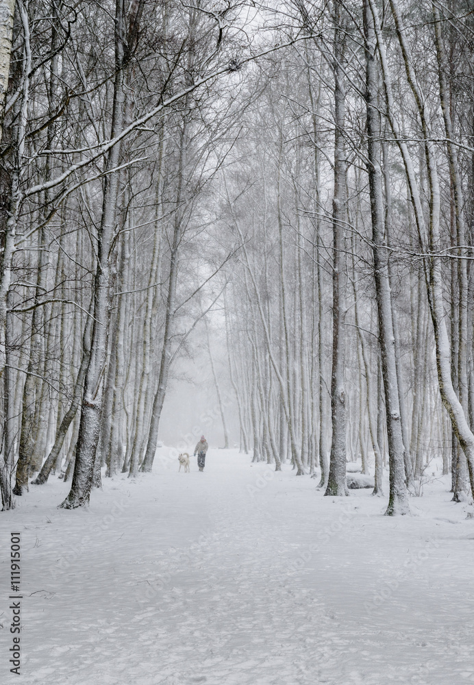 Woman with a dog on a snowy winter alley Woman with a dog on a snowy winter alley