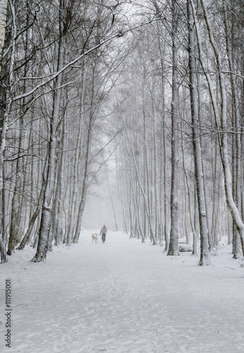 Woman with a dog on a snowy winter alley