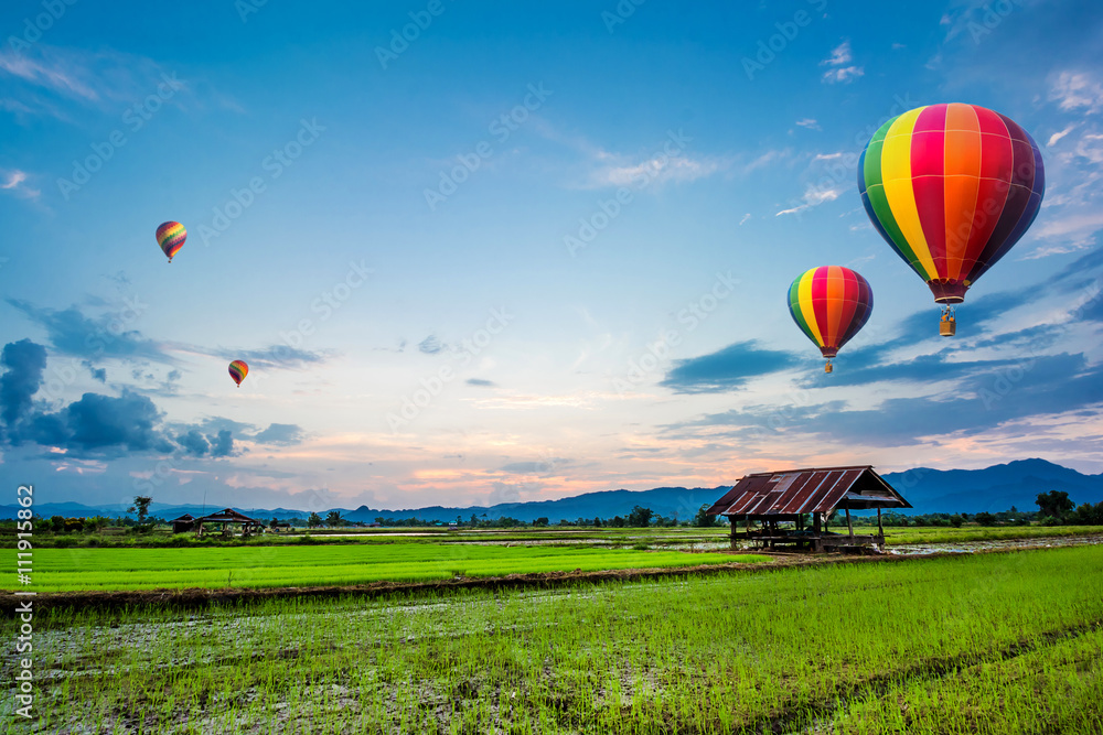 Obraz premium Fresh rice field on beautiful sunset