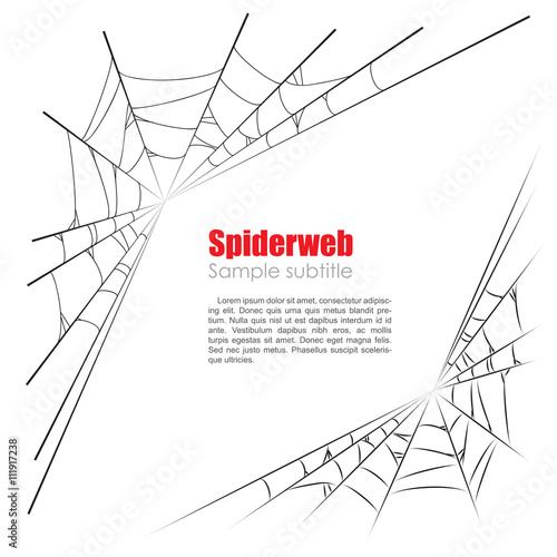 Spider web vector illustration on white background