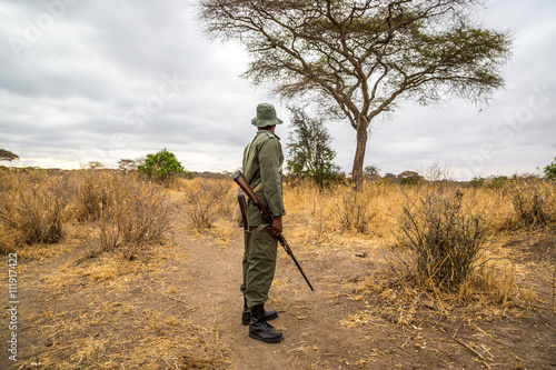 Billede på lærred A park ranger working in the Tarangire National Park in northern Tanzania, Afric