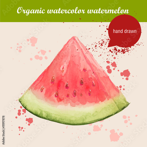 Vector watercolor hand drawn slice of watermelon with watercolor drops. Organic food illustration.