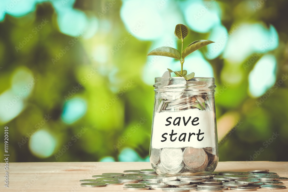 save money for investment concept plant growing out of coins mon save money for investment concept plant growing out of coins mon