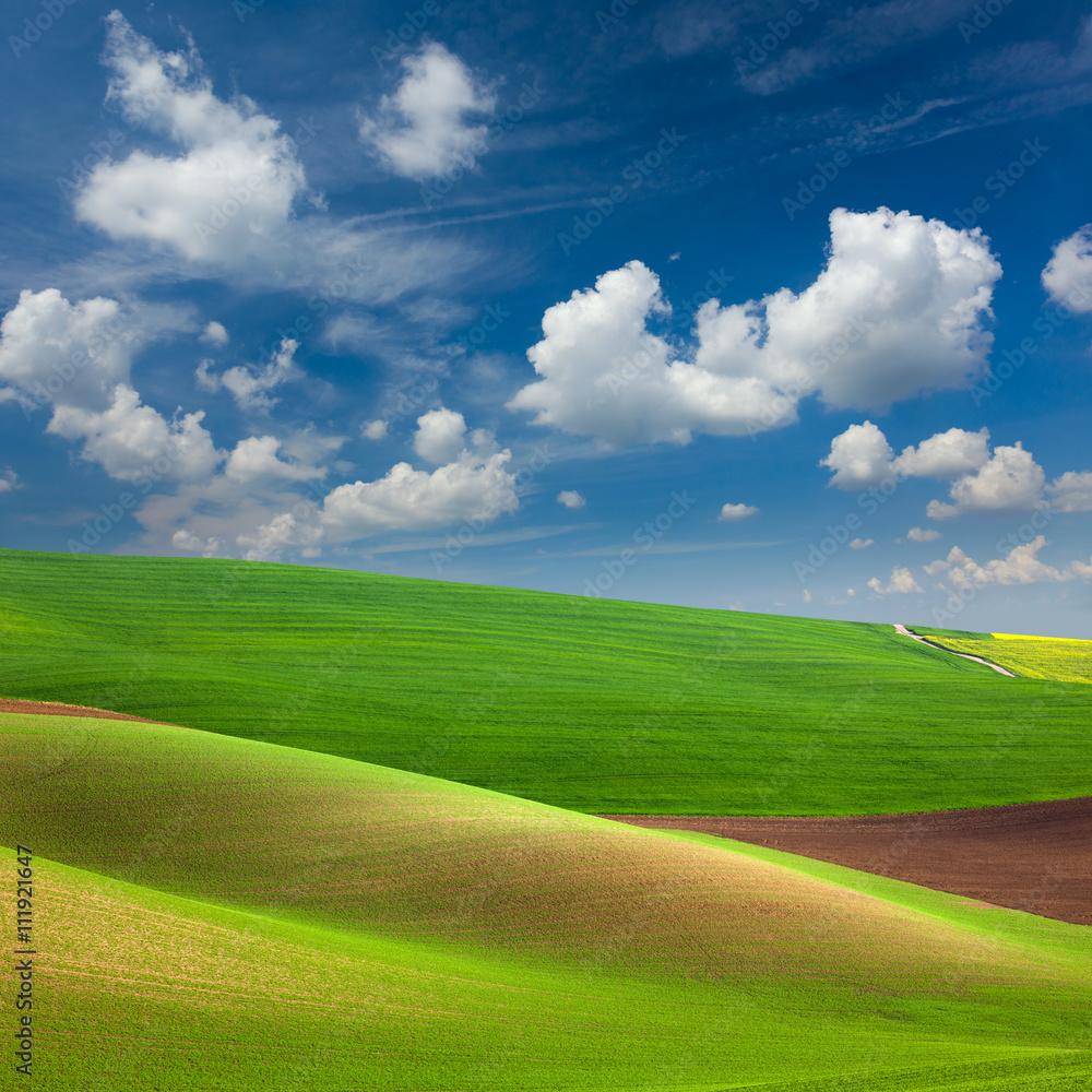 Abstract Colorful Fields and Sky Background Abstract Colorful Fields and Sky Background