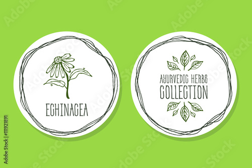 Ayurvedic Herb - Product Label with Echinacea 