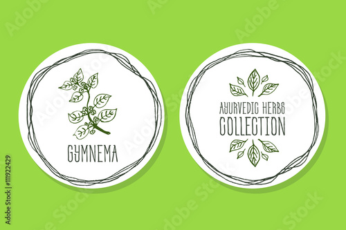 Ayurvedic Herb - Product Label with Gymnema sylvestre photo