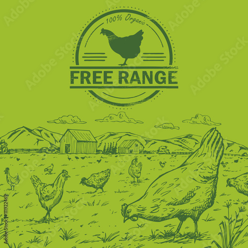 Illustration of a flock of pastured chickens with free range chicken stamp