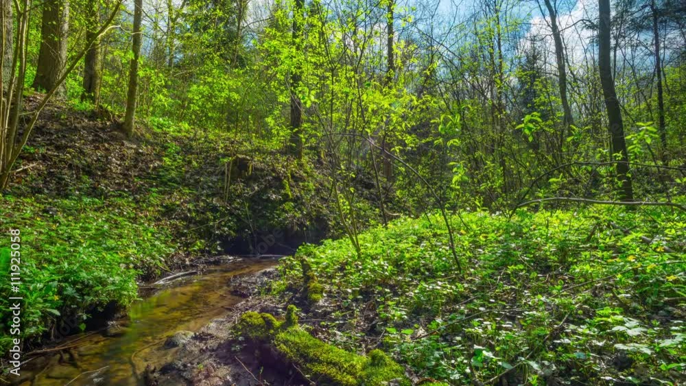 Spring Brook, time-lapse with crane Spring Brook, time-lapse with crane