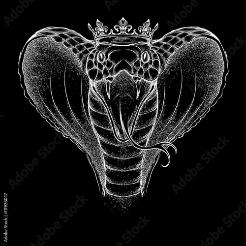 Hand draw cobra portrait. It may be used for design of a t-shirt, bag, postcard and poster. Vector illustration