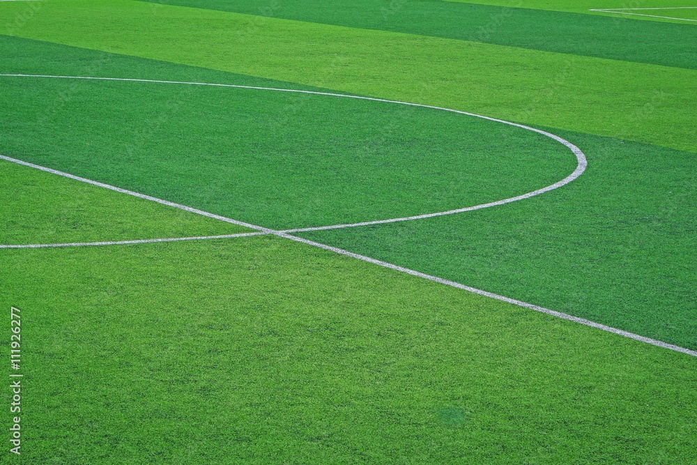 artificial turf of Soccer football field
