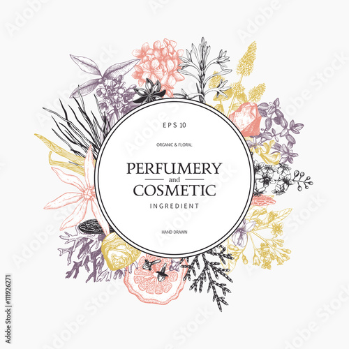 Vintage frame design with ink hand drawn aromatic fruit, flowers and leaves sketch. Floral and organics ingredients for perfumery background. Vector template in pastel colors