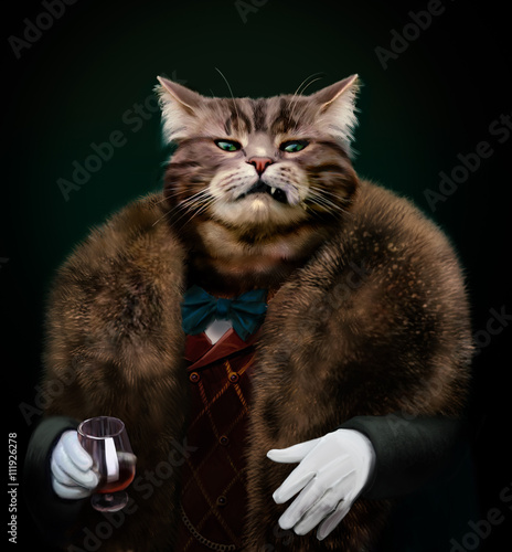 Arrogant sophisticated dressed cat boss looking with contempt photo