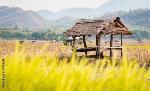 hut in farmland of people in countryside Thailand